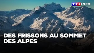 Des frissons au sommet des Alpes｜TF1 INFO