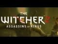 The Witcher 2: Combat Aspects Trailer