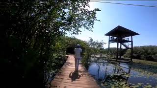 Beddagana wetland park.බැද්දගාන තෙත්බිම් උද්‍යානය.Travel yaka.