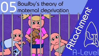 Bowlby’s theory of maternal deprivation - Attachment [A-Level Psychology]