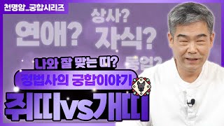 [대성TV🎬] 쥐띠가 개띠를 만나면 뭐다? 💰💰다! 충실한 부부 조합 쥐띠X개띠 띠별 궁합 【Feat. 경기광주 용한무당 정명환 법사】