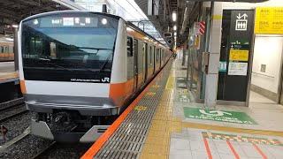 【奥多摩へ行かないホリデー快速おくたま号】E233系0番台T11編成 ホリデー快速おくたま1号青梅行き新宿駅発車