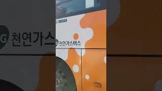 부산 태영버스 1004번 3708호 부산역 BRT 출발