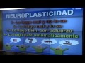 Dr. Cormillot | La neuroplasticidad al servicio de la salud