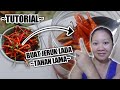 WAJIB TENGOK !! Cara simpan cili tahan lama || Marcella G Vlog