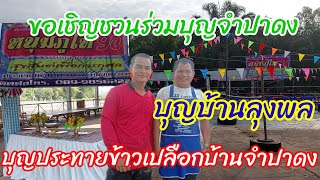 บุญบ้านลุงพลพี่น้องชาวบ้านจำปาดงบุญประทายข้าวเปลือก