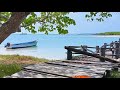 KURUSADAI ISLAND | RAMESWARAM TOURISM | BEST PLACE TO SEE DOLPHINS | குருசடை தீவுச் சுற்றுலா