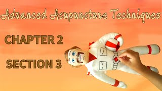 Advanced Acupuncture Techniques  CHAPTER 2 SECTION 3  SUPPLEMENTARY TECHNIQUES  高级针灸技术第二章第三节