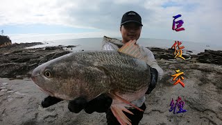 底潮浑浊海峡沟，抽干鱼群无处躲藏，泰泰与4斤大货纠缠十几分钟