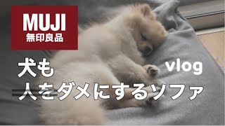 【無印良品】あのソファは犬もダメにしてしまうようです。