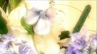 Charlotte Funeral Directors Grier Funeral Service