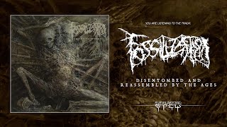 FOSSILIZATION 'Disentombed And Reassembled By The Ages' (Track Premiere from 'Advent Of Wounds')