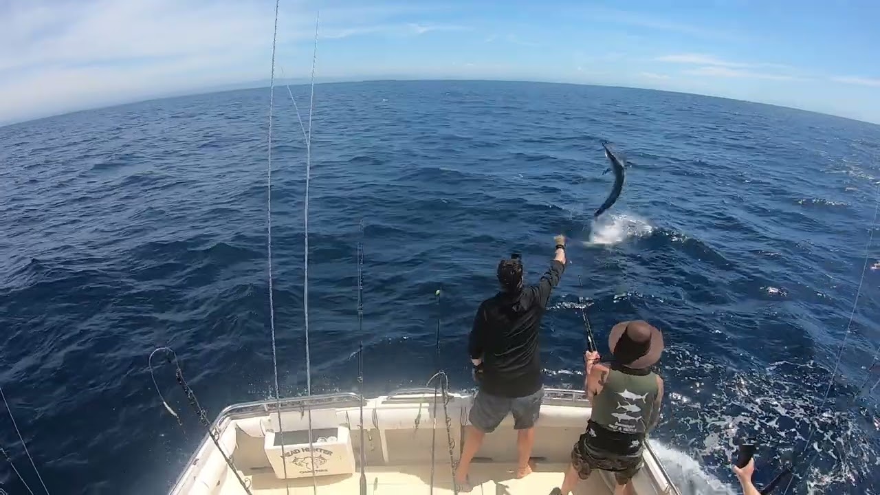 Black Marlin - Bermagui Marlin Fishing - Head Hunter Charters - FULL ...