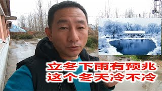 立冬下雨有个预兆，看这个冬天冷不冷？除了吃饺子还要干点啥？