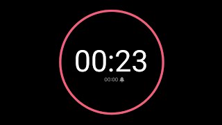 23 Second Countdown Timer / iPhone Timer Style