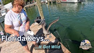 Florida Keys Hidden Gems It Got Wild