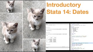 Introductory Stata 14: Dates