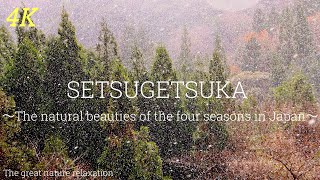 【4k】自然風景 ドローン drone『究極の癒し映像』 relaxation healing『雪月花』THE FIRST SNOW \u0026 SAKURA