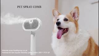 Pet Grooming Hair Steam Comb