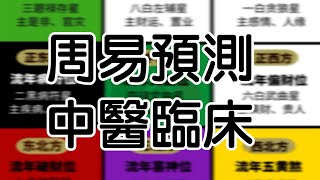 何謂易醫?與中醫不同之處  專訪中國名易醫 成鐵智大師