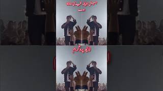 Jail Adyal Qaidi 804 | Viral Song | Malko Viral Song | Saraiki Sector #Shorts