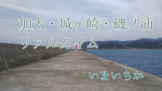 【和歌山インター店】2/12 (金) 加太・城ケ崎・磯ノ浦リアルタイム情報　和歌山釣果見聞録 #02