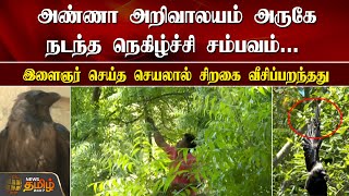 Anna arivalayam  அருகே நடந்த நெகிழ்ச்சி சம்பவம்.. இளைஞர் செய்த செயலால் சிறகை வீசிப்பறந்தது| CROW FLY