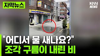 위에서 누가 물 뿌리는 거 아니지? #자막뉴스