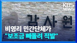 “보조금 빼돌려 손녀 말까지?”…비영리단체 73명 수사 의뢰 / KBS  2023.05.17.