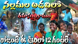 నల్లమలఅడవిలో రహస్యగ్రామం. palutla village. Life style of chenchu tribe in nallamala forest. nekkanti