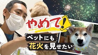 「愛犬にも花火を見せてあげたい」はＮＧ　コロナ禍でペットを飼い始めた人、気を付けて！