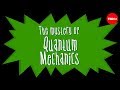 Particles and waves: The central mystery of quantum mechanics - Chad Orzel