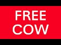 free cow epilepsy warning