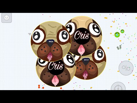 ATAQUE DE PUG (AGAR.IO MÓVIL)