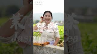 Jasmine Tea 茉莉花茶 | 中國茶飲 | 花香四溢 沁人心脾 #shorts #shortsvideo #沈丹shendan【乡愁沈丹 Shen Dan】