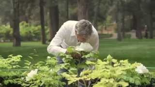 Hermes - Le Jardin de Monsieur available at David Jones