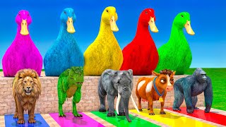 Long Slide Game With Elephant Gorilla Buffalo Hippopotamus Tiger 3d Animal Game Funny 3d Animals