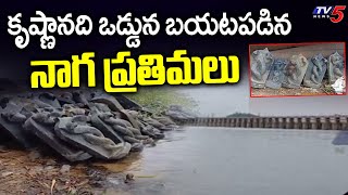 కృష్ణానది ఒడ్డున బయటపడిన నాగ ప్రతిమలు | Naga Prathima Naga idols |  krishna River | TV5 News Digital