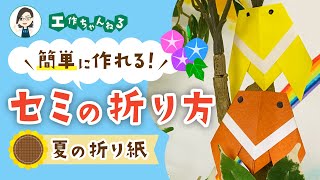 セミの折り方🌻｜簡単に作れる基本の折り紙【保育園・幼稚園】