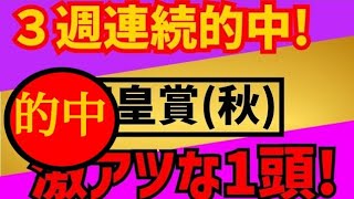 天皇賞(秋)2021　3週連続的中　激アツな１頭!