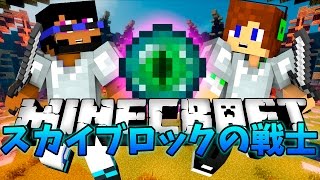 スカイブロックの戦士で敵が全員・・・　【マインクラフト】