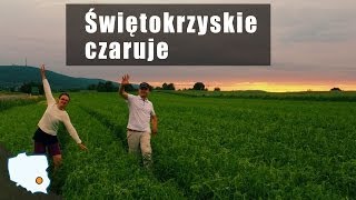 Odkrywaj z nami Świętokrzyskie! - Ruszaj w Drogę!