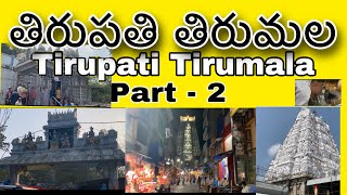 Tirupati Tirumala Port - 02 | #పాపవినాసం | వేణు గోపాల స్వామి ఆలయం | పద్మావతి దేవి ఆలయం | #CD 🎥