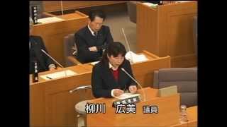 伊那市議会　平成25年3月定例会（一般質問2日目）　柳川　広美　議員