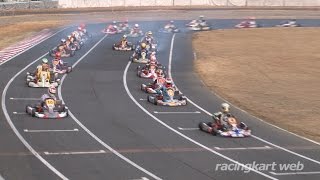 2015 カートレース IN SUZUKA 第1戦 X30 決勝