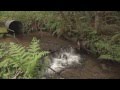 Maintaining a septic system