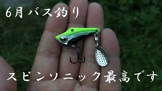 【バス釣り】信頼と実績のスピンソニックは最高でした！【ウォーターランド】