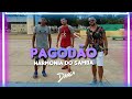 Pagodão ( Harmonia do Samba) Coreografia Cai na Dança