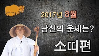 [최삿갓 운세] 2017년 8월 올해 나의 운세는? 소띠편