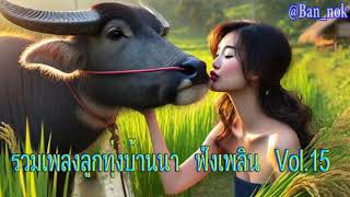 รวมเพลงลูกทุ่งบ้านนา ฟังเพลิน Vol.15